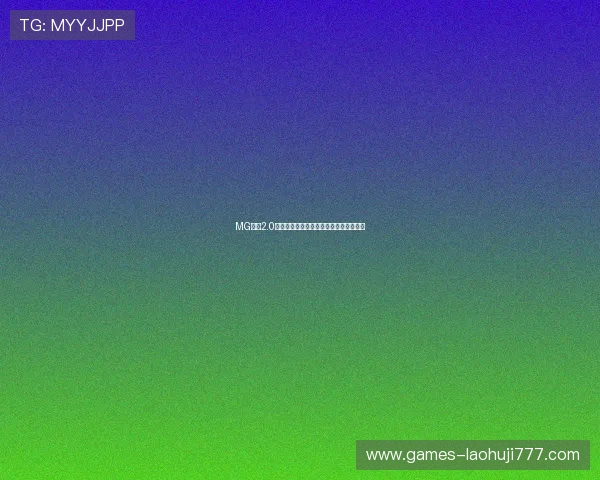 MG老虎2.0说明书最新版本更新内容与使用注意事项